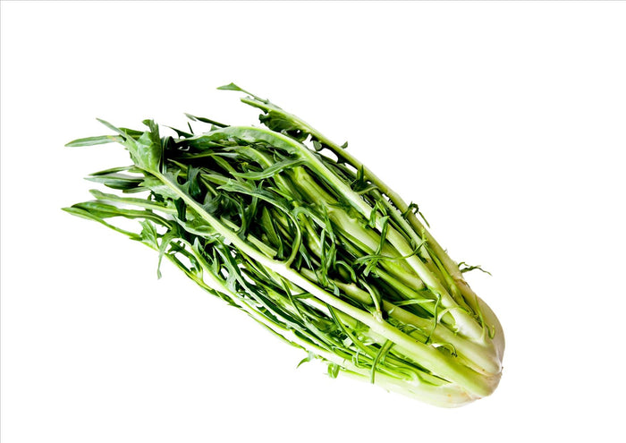 Italian Puntarelle/Puntarella (Each)