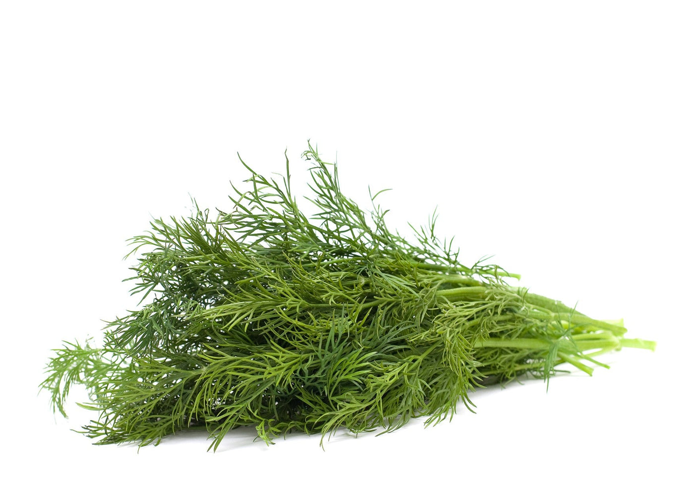 Dill (100g) – Wellington Fresh